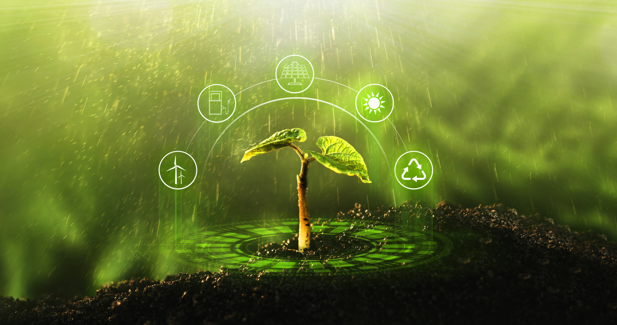 Sustainability